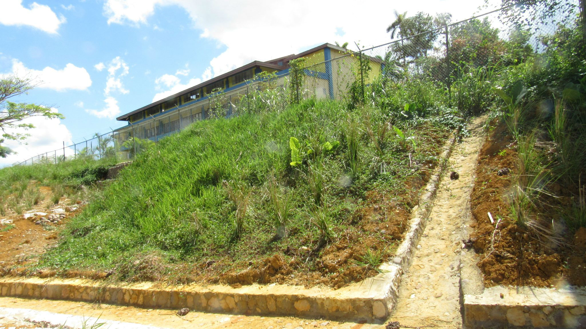 Earth Today | Moneague College: Building A Sustainable Future Through Education