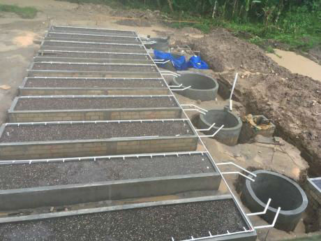 Earth Today | Clarendon Communities Get Help To Face Down Climate Change