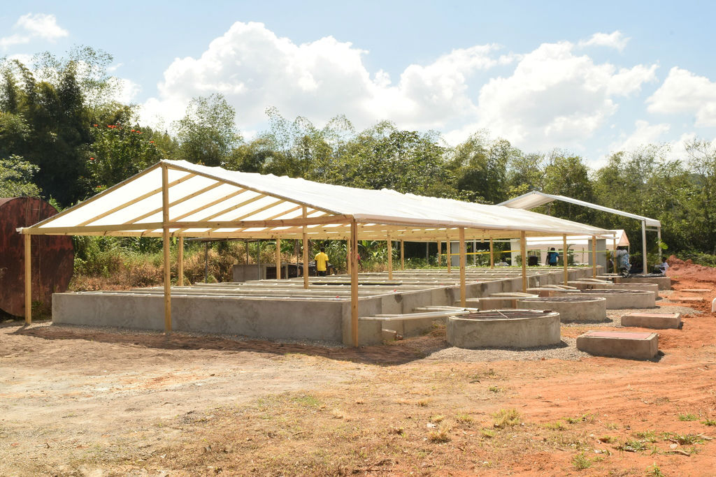 aquaponics farm